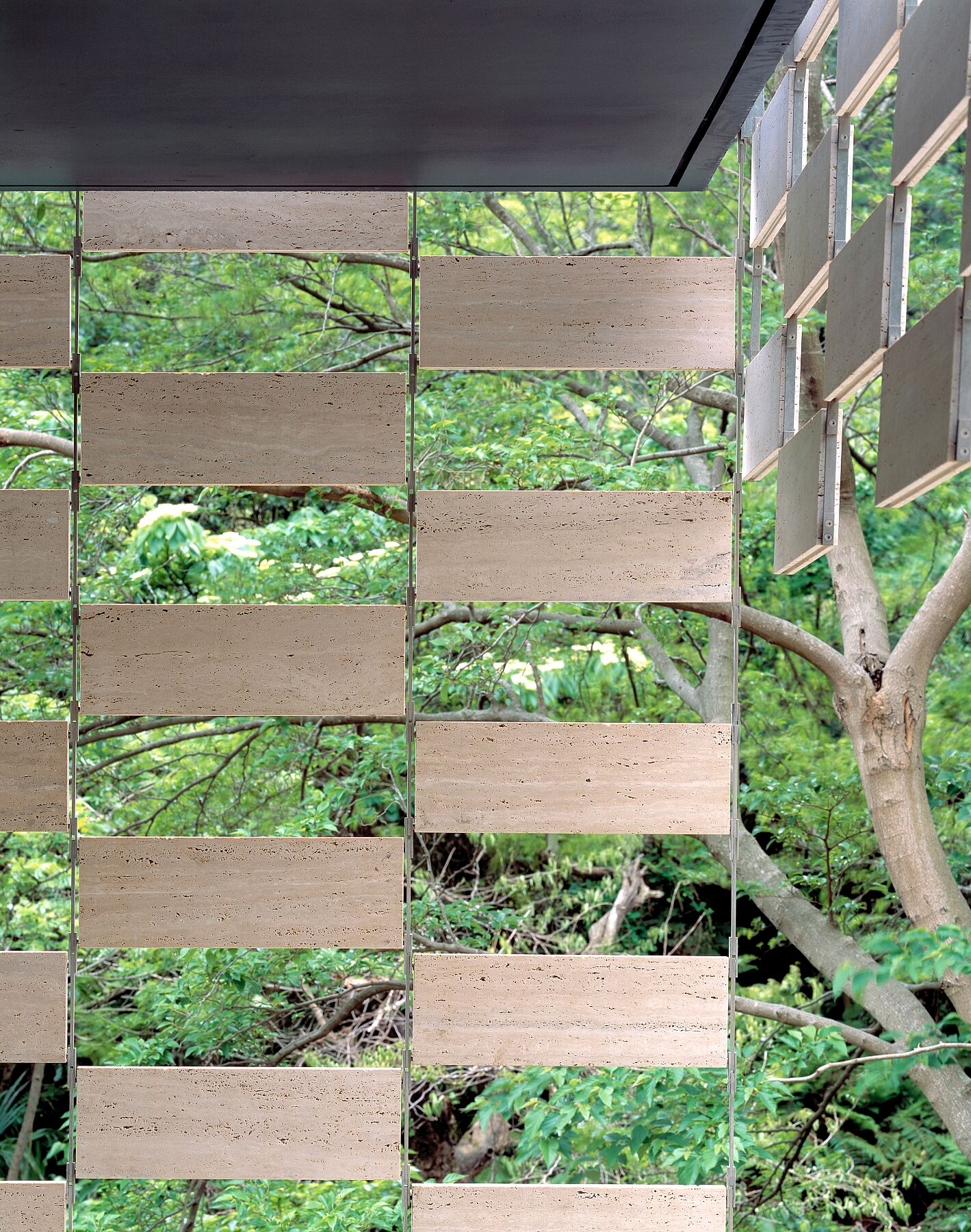 Lotus House ロータスハウス 2006