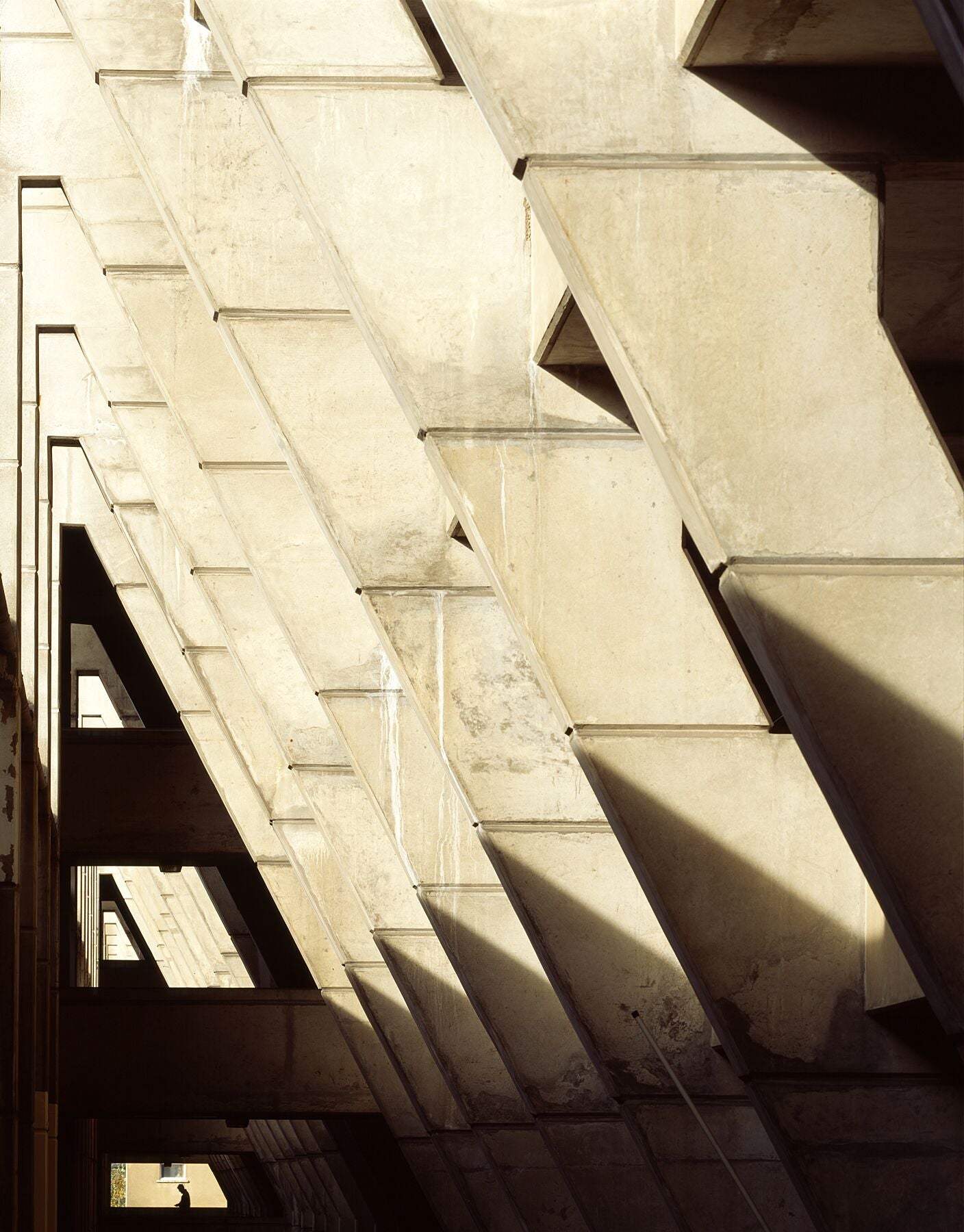Brunswick 1